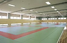 Dojo (training hall) in the gymnasium