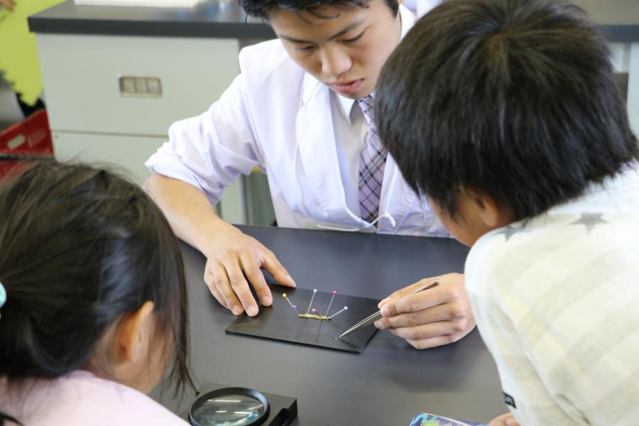 教育学部生物学ゼミ学生による小学校理科の出前講座4