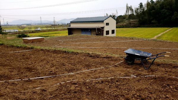 だんだんお花畑プロジェクトin玉城町