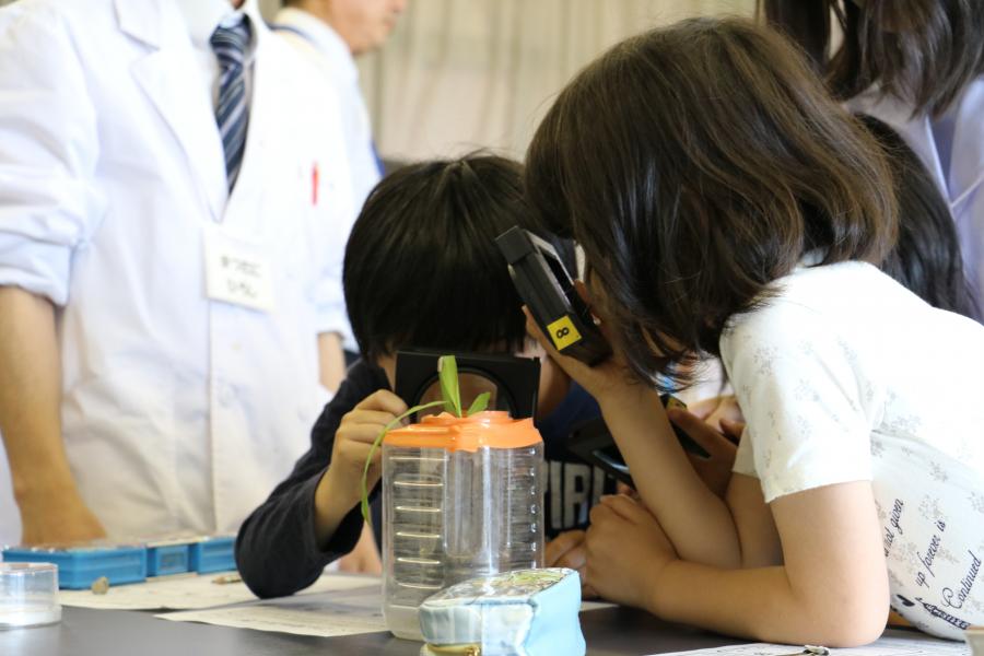 教育学部生物学ゼミ学生による小学校理科の出前講座3