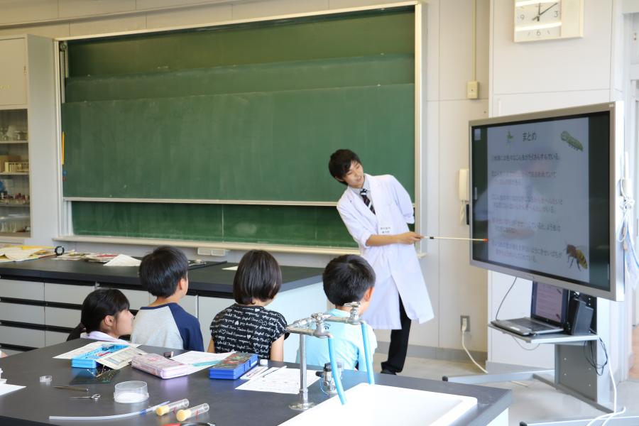 教育学部生物学ゼミ学生による小学校理科の出前講座6