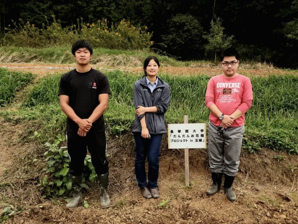 だんだんお花畑プロジェクトin玉城町