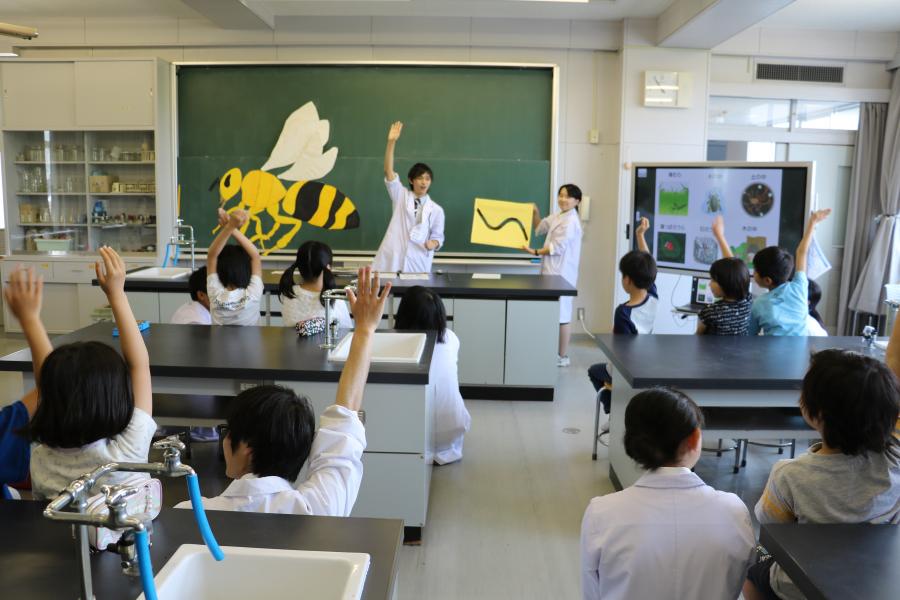 教育学部生物学ゼミ学生による小学校理科の出前講座1