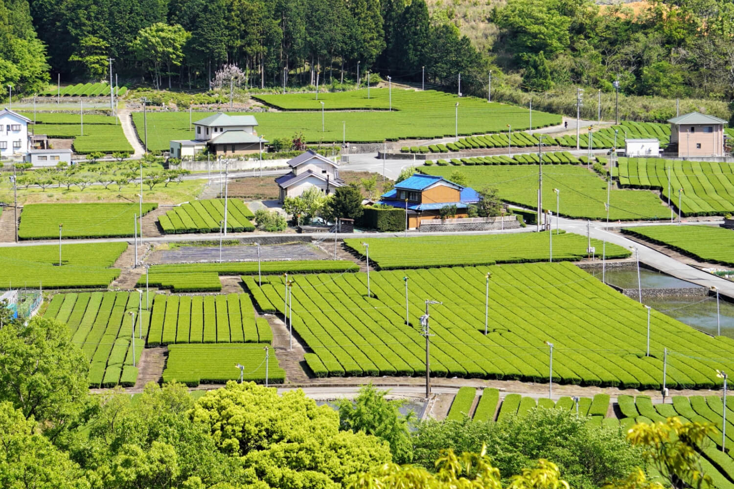 地域連携について