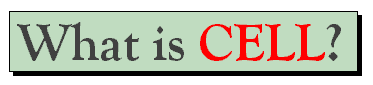 cell1.gif (2270 bytes)